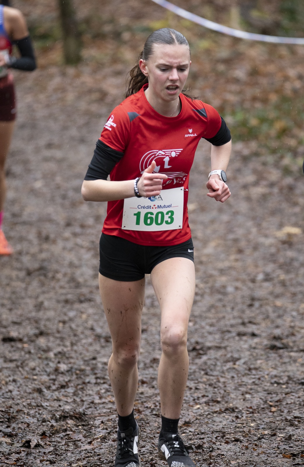 cross lilou 25.01.26