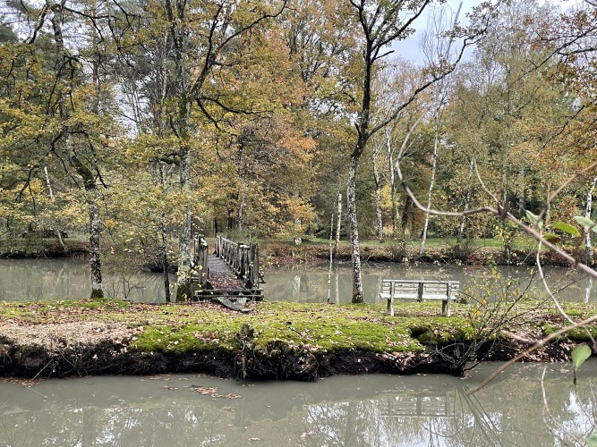 stage running 2025 1