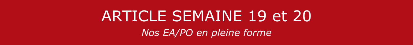 BANNIERE S19.20 EA.PO