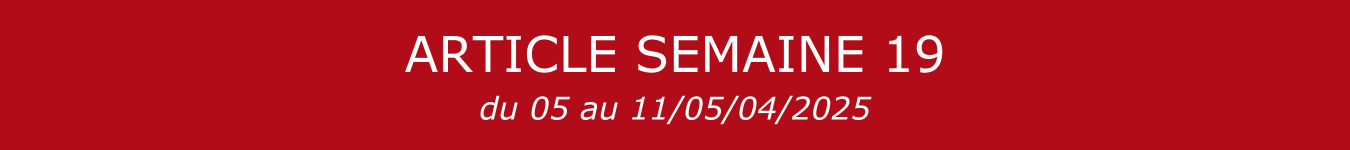BANNIERE S19